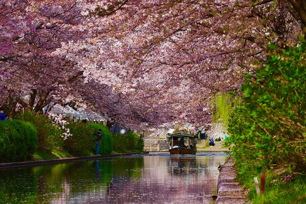 Kyoto
