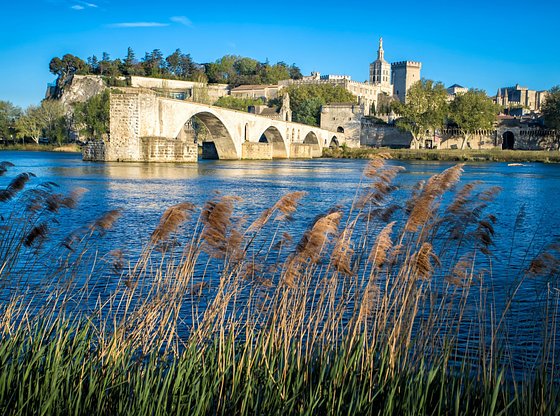 Introduction to Avignon Tour with the Papal Palace and the Pont d'Avignon and Skip-the-Line Tickets