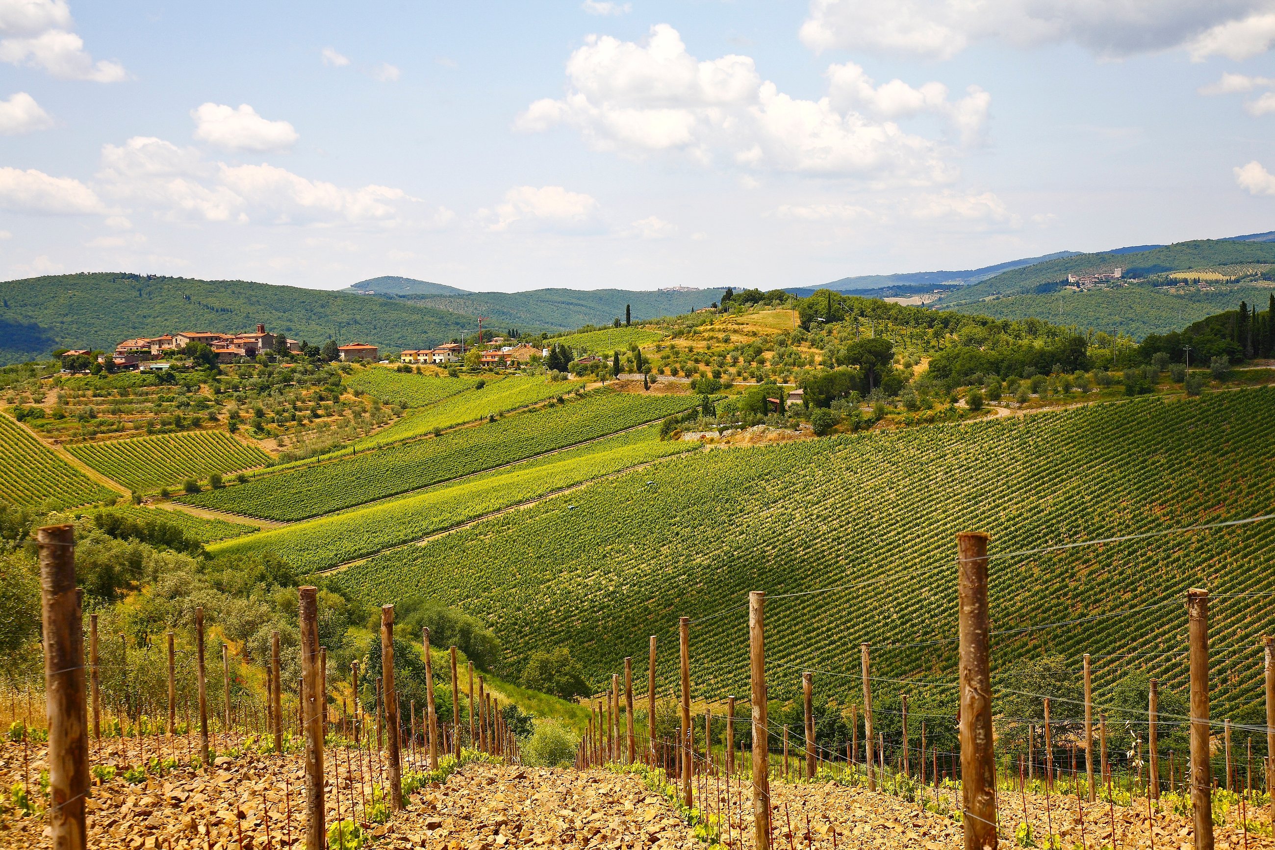 chianti wine tour from siena