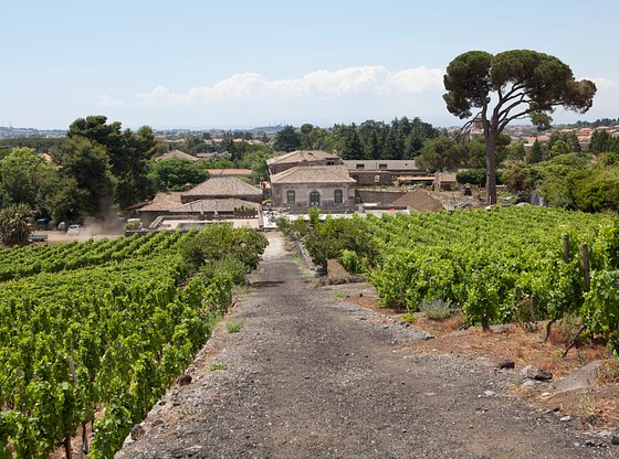 Full-Day Mount Etna Hiking Day Trip with Sicilian Wine Tasting