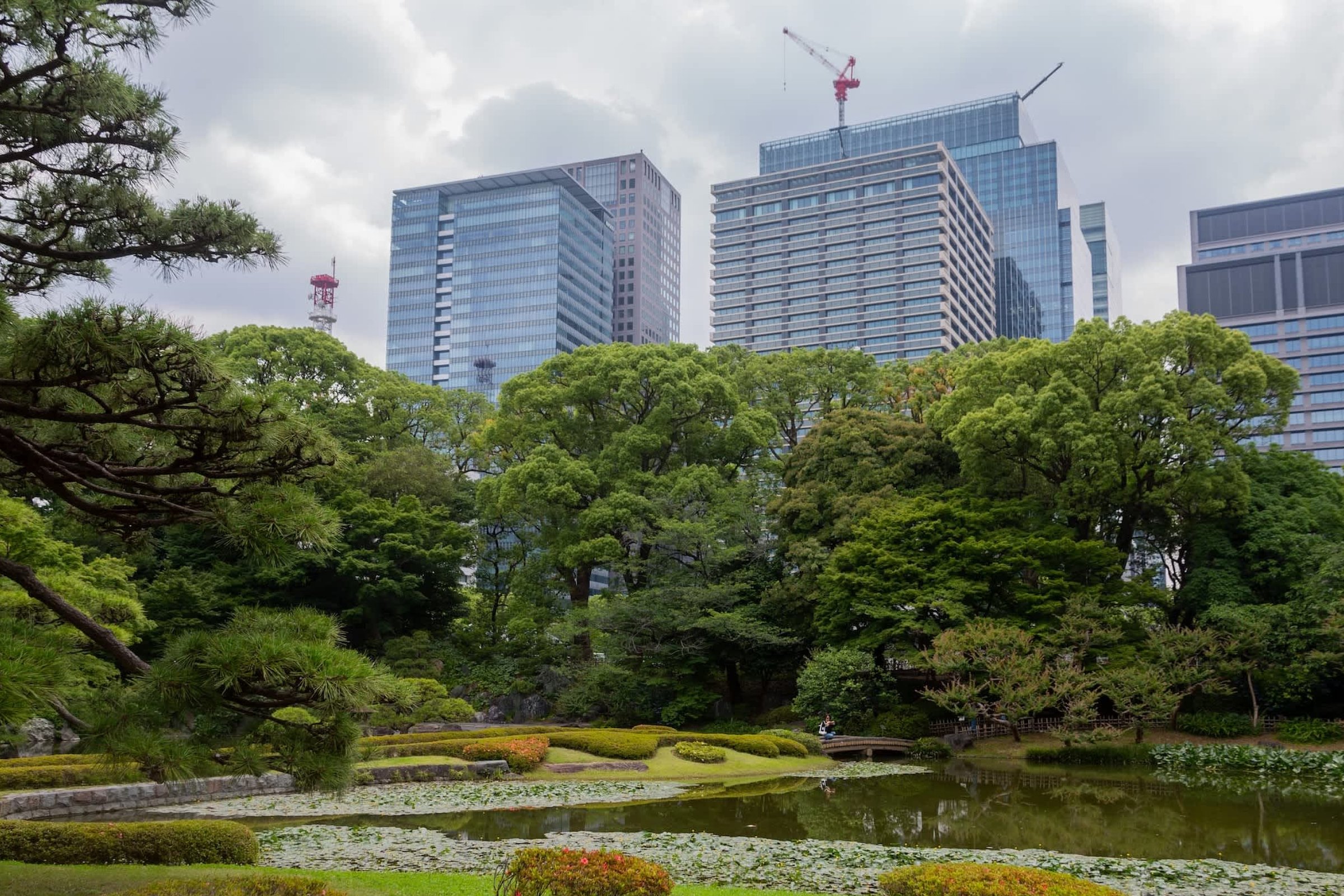 tokyo tour guide
