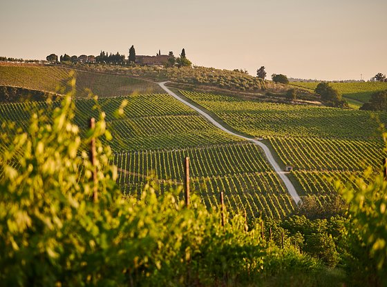 Full-Day Tuscany Day Trip from Florence with Wine Tasting