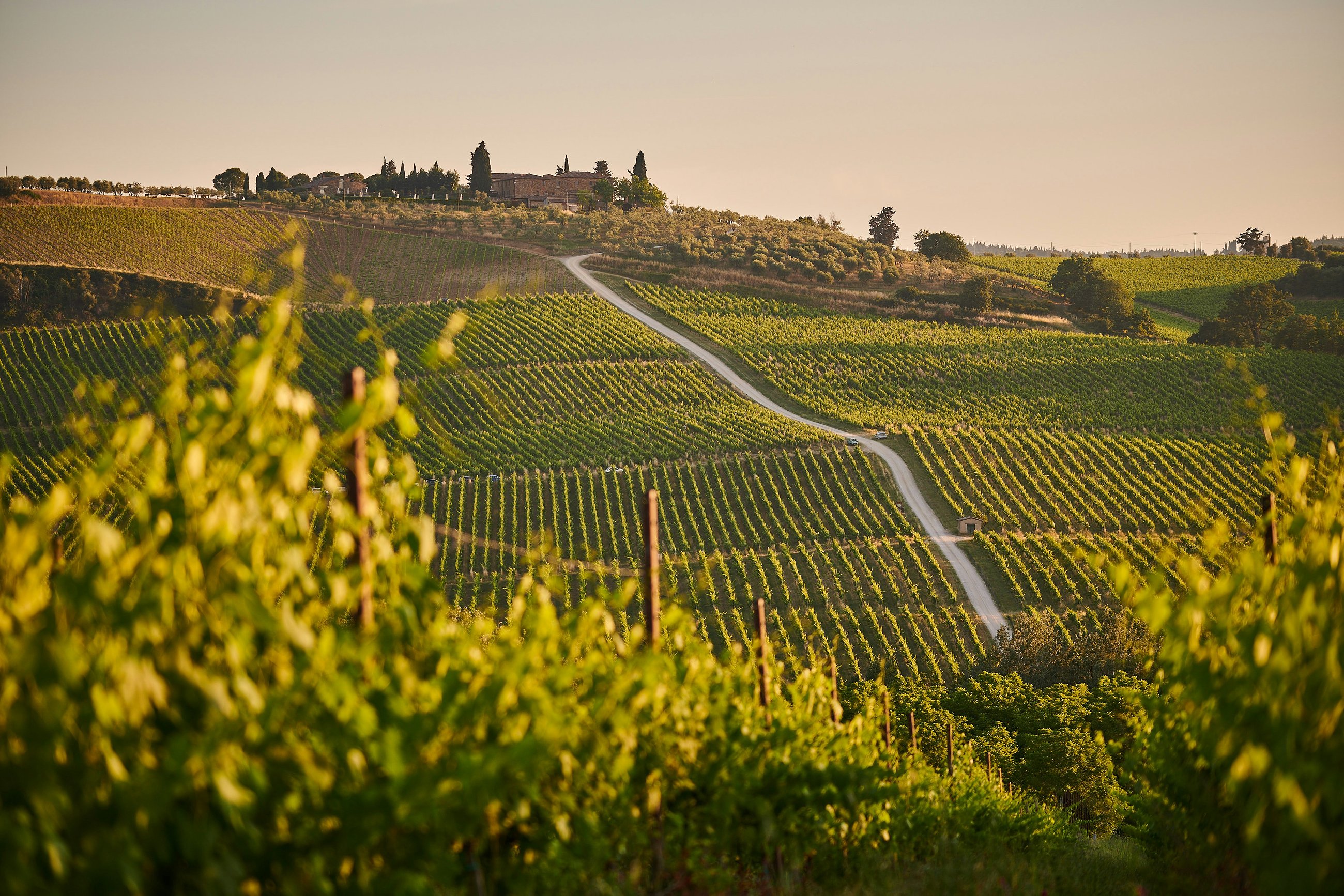 day trip from florence to tuscany wine tasting