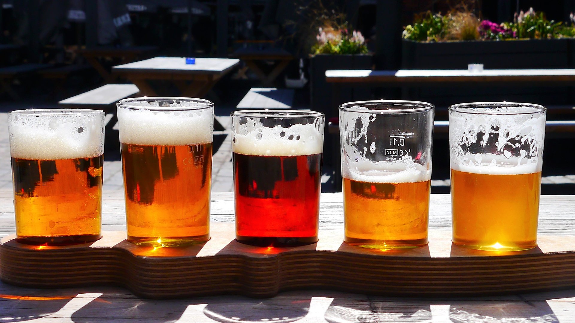 Brussels Beer Tour