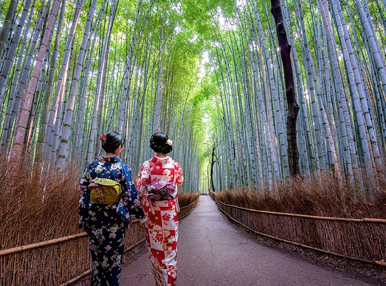Half-Day Arashiyama Day Trip from Kyoto, with Tenryu-ji and the Bamboo Grove