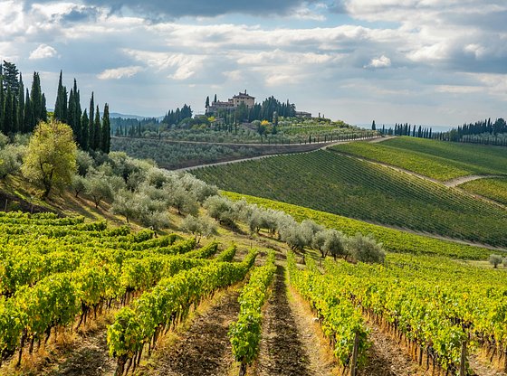 Chianti Excursion with Wine Tasting from Florence