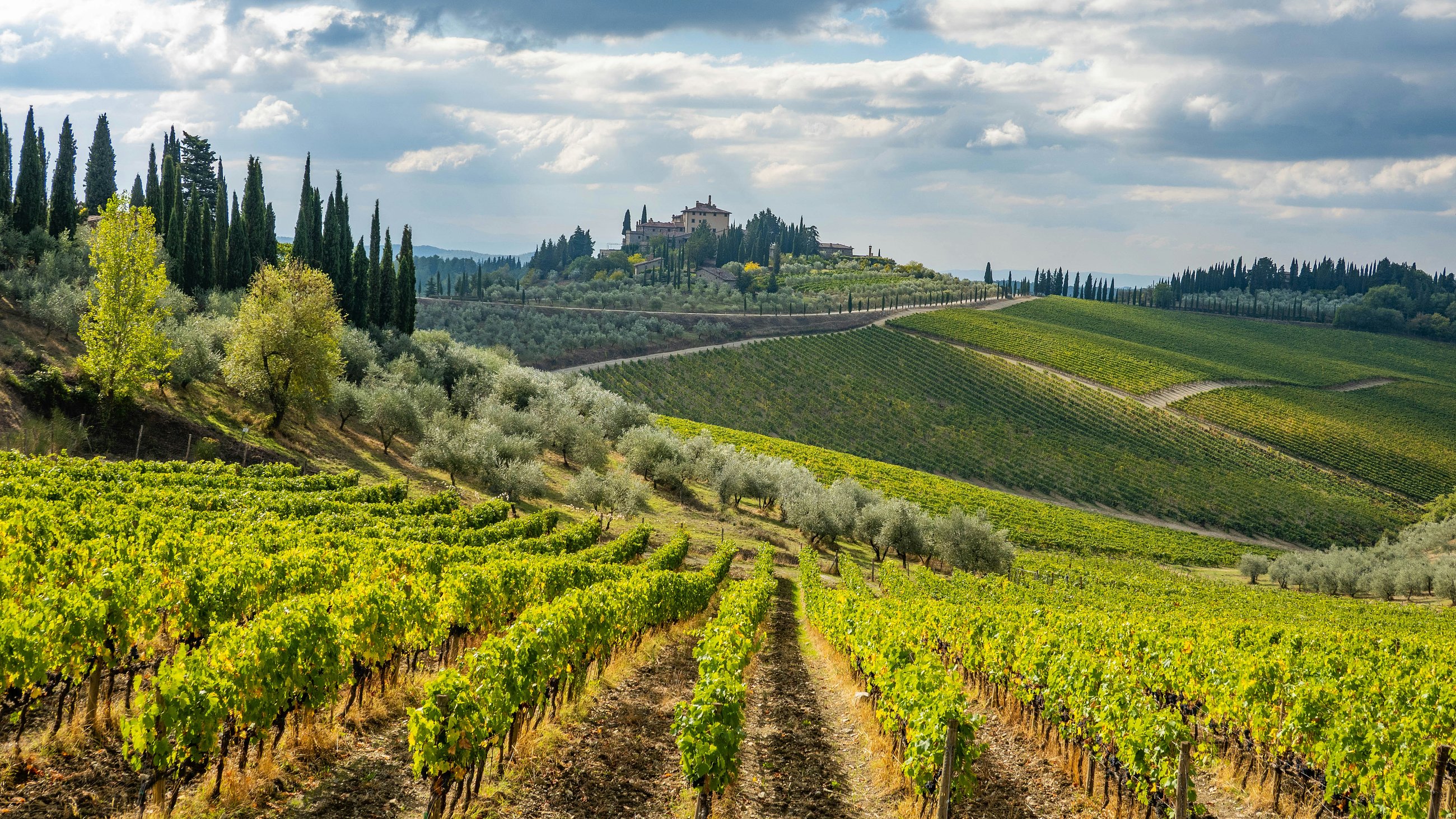 chianti wine tour from florence