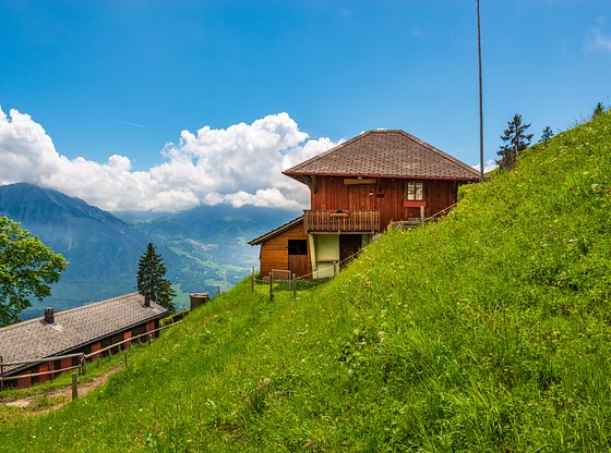 Alpine Farm Tour from Lucerne: Pasture to Plate