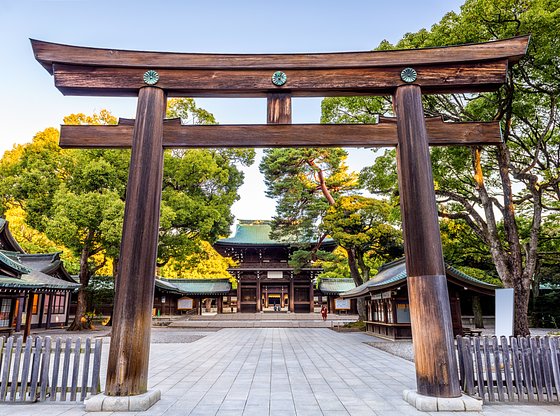 Tokyo Aesthetics and Architecture Tour, with Omotesando and Meiji Jingu